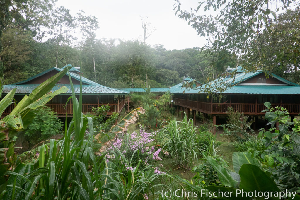 Selva Verde Lodge, Sarapiquí, Costa Rica