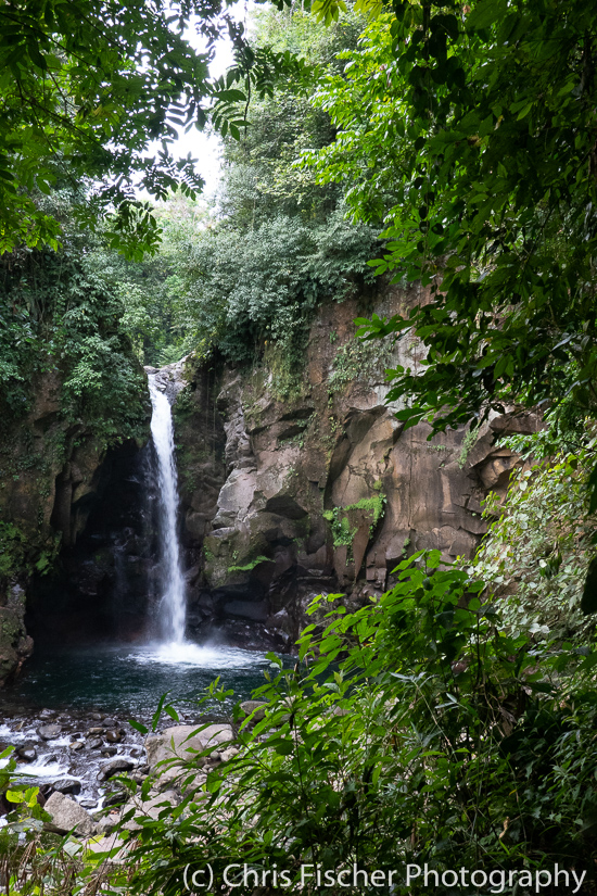 Catarata Las Golondrinas, Costa Rica