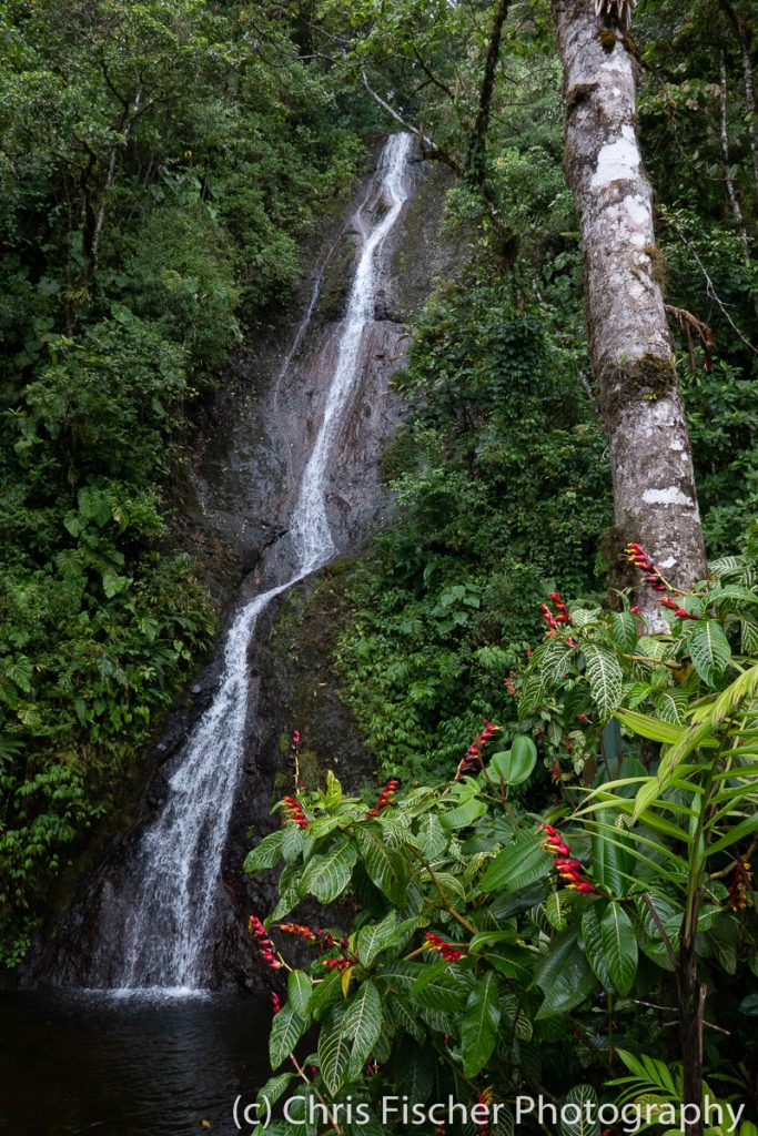 Dona Ana Waterfall, Hotel Quelitales, Costa Rica